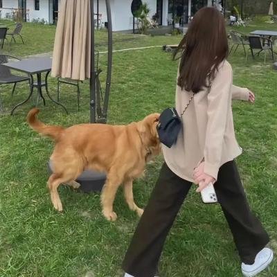 渐入佳境 海报